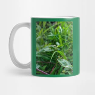 Grasshopper Mug